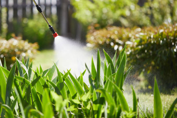 24/7 Emergency Cockroach Control experts in Laurens, SC