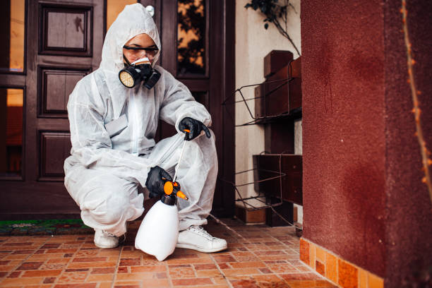 Reliable Cockroach Control contractor in Laurens, SC by Nex Pest Control